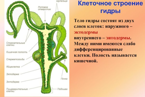 Bs актуальная ссылка