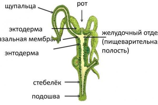 Клир ссылка на блэкспрут blacksprut adress com