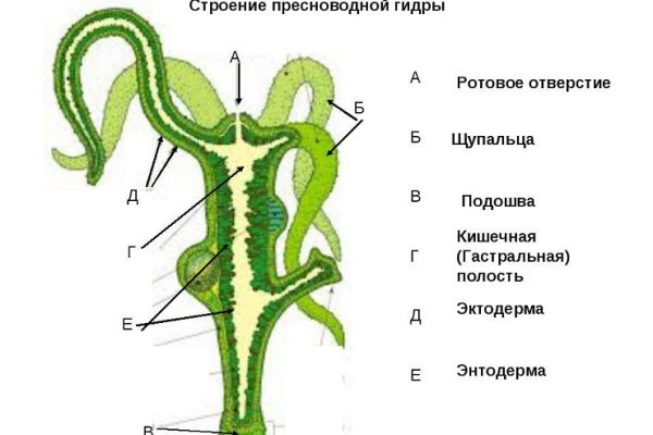 Блэк спрут ссылка зеркало