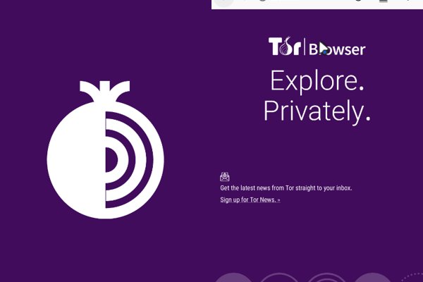 Блэкспрут ссылка тор tor wiki online