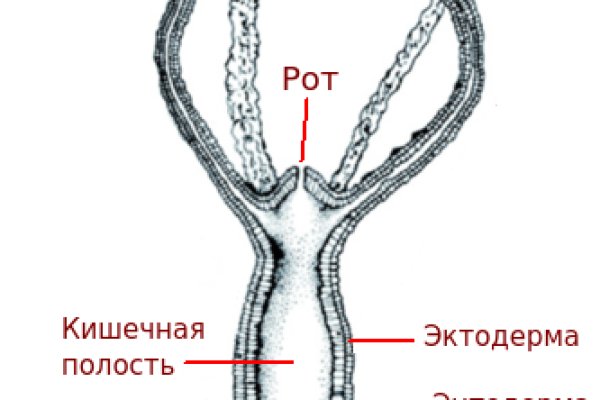 Блэк спрут как зайти bs2web top