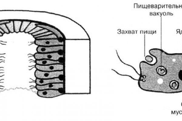 Блэкспрут официальная ссылка