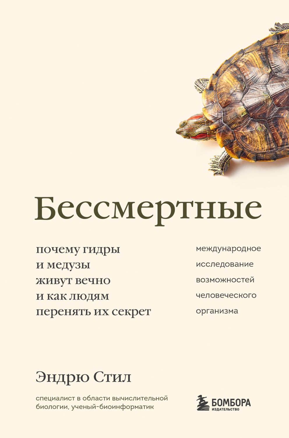 Блекспрут рабочие зеркала bs2webes net